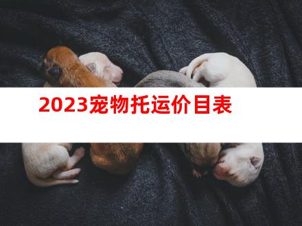 2023宠物托运价目表