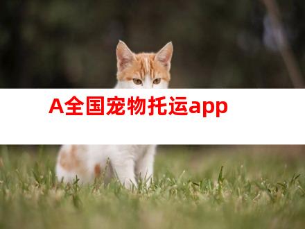 A全国宠物托运app