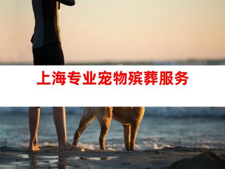 上海专业宠物殡葬服务