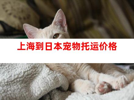 上海到日本宠物托运价格