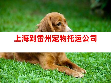 上海到雷州宠物托运公司