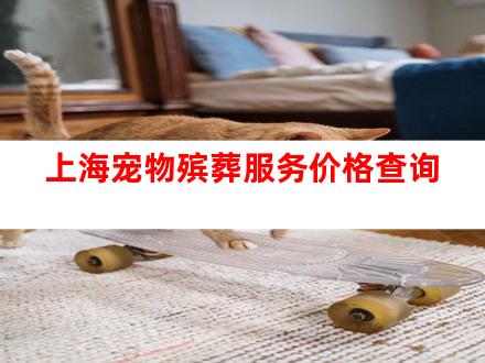 上海宠物殡葬服务价格查询