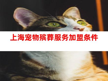 上海宠物殡葬服务加盟条件