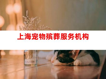 上海宠物殡葬服务机构