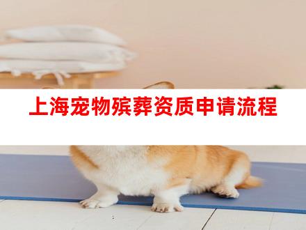 上海宠物殡葬资质申请流程