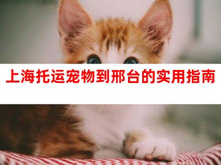 上海托运宠物到邢台的实用指南