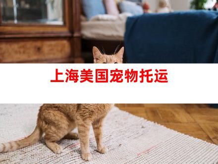 上海美国宠物托运