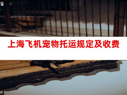 上海飞机宠物托运规定及收费