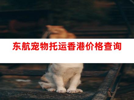东航宠物托运香港价格查询