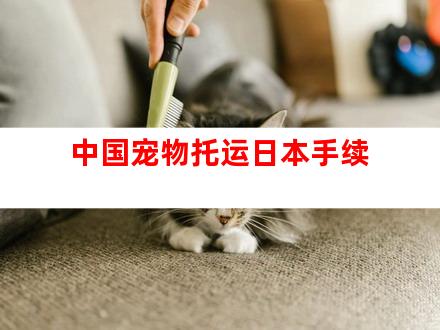 中国宠物托运日本手续