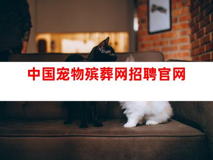 中国宠物殡葬网招聘官网