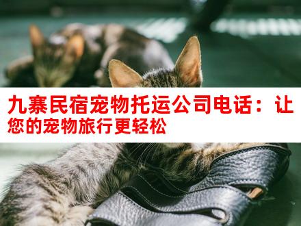 九寨民宿宠物托运公司电话：让您的宠物旅行更轻松