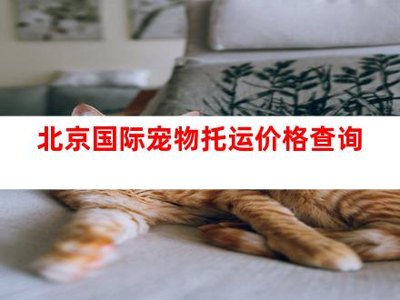 北京国际宠物托运价格查询
