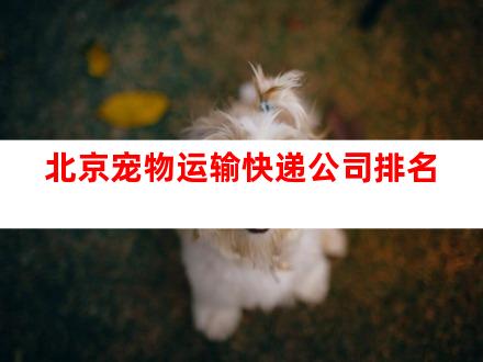 北京宠物运输快递公司排名