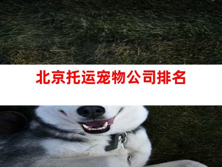 北京托运宠物公司排名