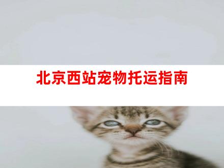 北京西站宠物托运指南