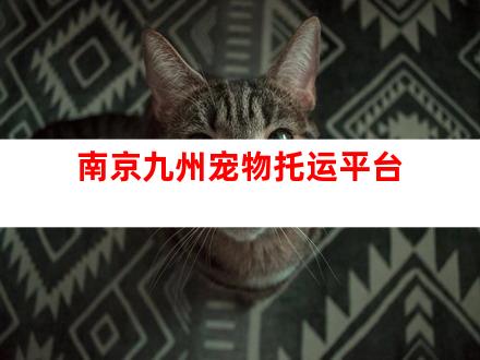 南京九州宠物托运平台