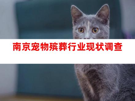 南京宠物殡葬行业现状调查