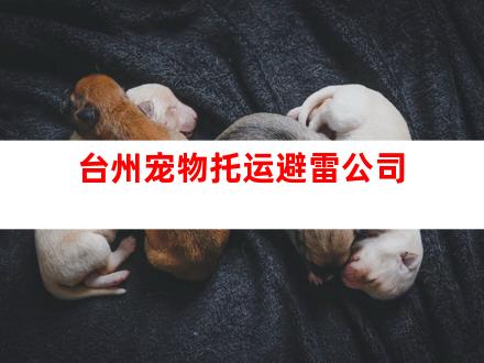 台州宠物托运避雷公司