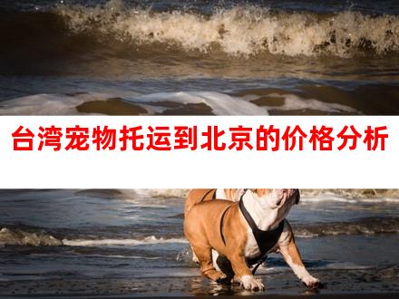 台湾宠物托运到北京的价格分析