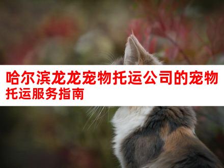 哈尔滨龙龙宠物托运公司的宠物托运服务指南