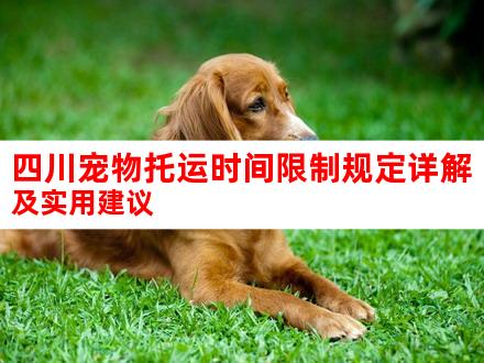 四川宠物托运时间限制规定详解及实用建议