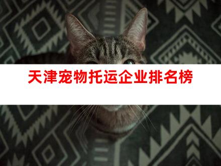 天津宠物托运企业排名榜