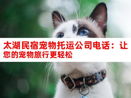 太湖民宿宠物托运公司电话：让您的宠物旅行更轻松