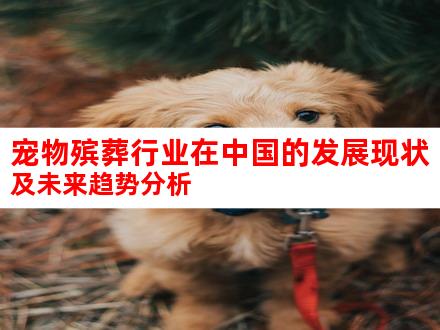 宠物殡葬行业在中国的发展现状及未来趋势分析
