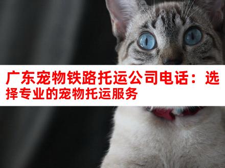 广东宠物铁路托运公司电话：选择专业的宠物托运服务