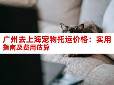 广州去上海宠物托运价格：实用指南及费用估算