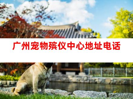 广州宠物殡仪中心地址电话