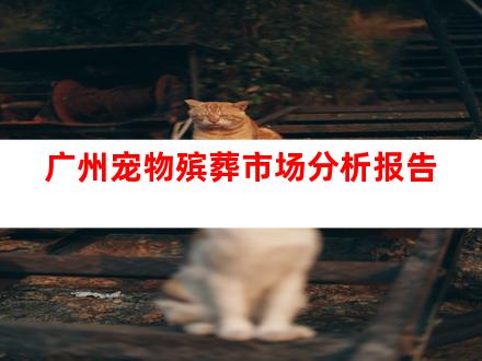 广州宠物殡葬市场分析报告