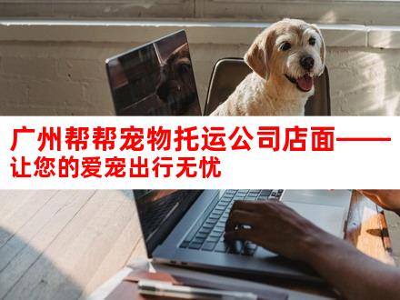 广州帮帮宠物托运公司店面——让您的爱宠出行无忧