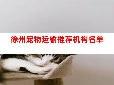 徐州宠物运输推荐机构名单