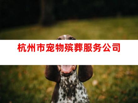 杭州市宠物殡葬服务公司