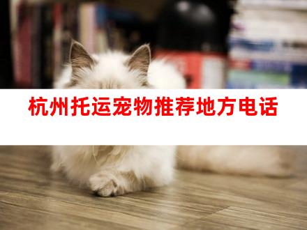 杭州托运宠物推荐地方电话