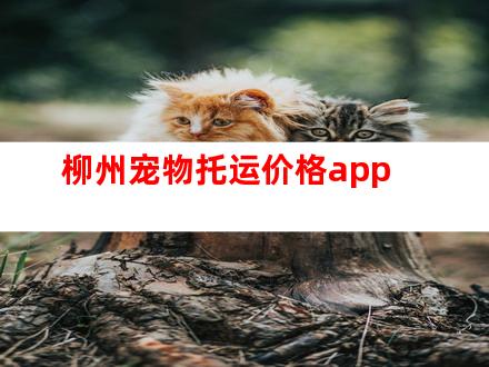 柳州宠物托运价格app