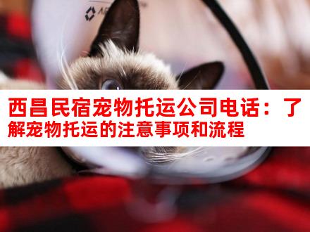 西昌民宿宠物托运公司电话：了解宠物托运的注意事项和流程
