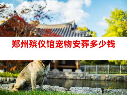 郑州殡仪馆宠物安葬多少钱