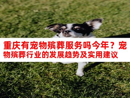 重庆有宠物殡葬服务吗今年？宠物殡葬行业的发展趋势及实用建议