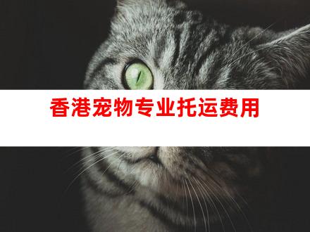 香港宠物专业托运费用