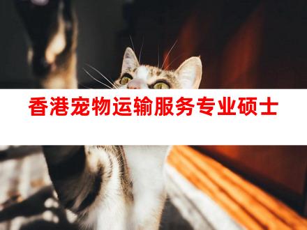 香港宠物运输服务专业硕士