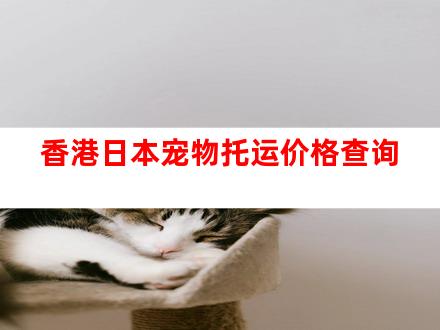 香港日本宠物托运价格查询