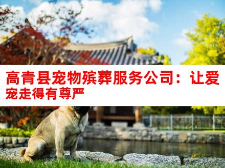 高青县宠物殡葬服务公司：让爱宠走得有尊严